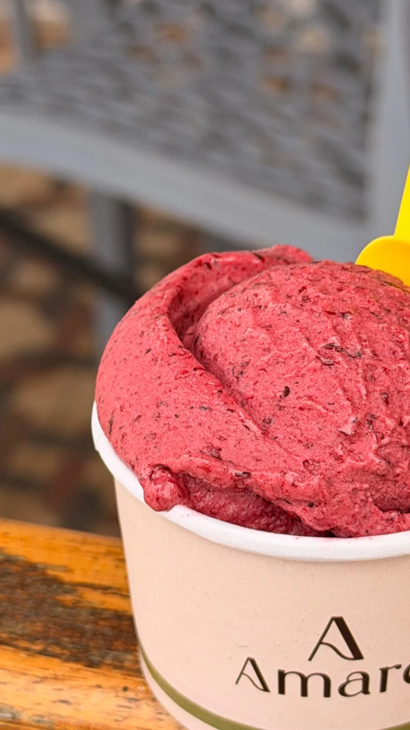 Sorbet de amora, foto real da Amarê